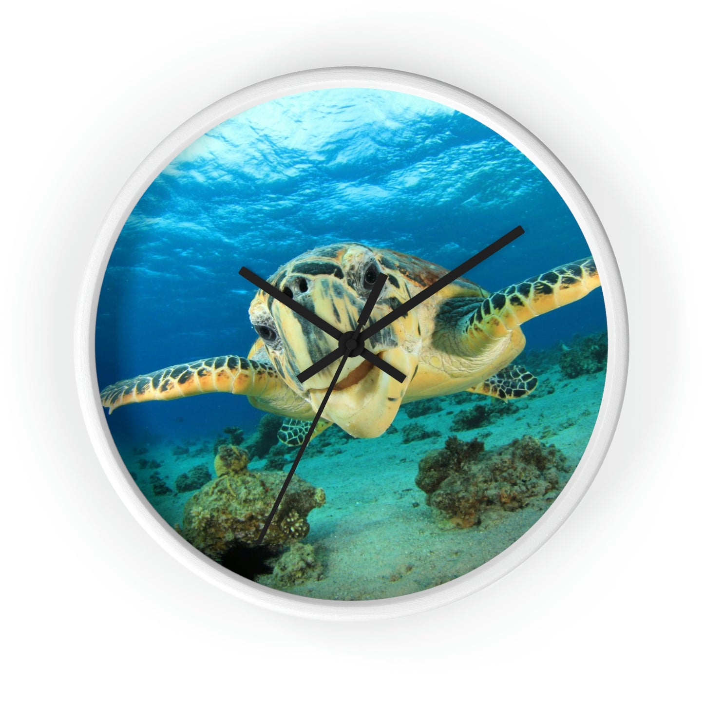 Turtle in Ocean Wall Clock The Colors are Amazing! Great Gift!